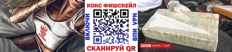 Cocaine Fish Scale  Купить закладки  Тулун 